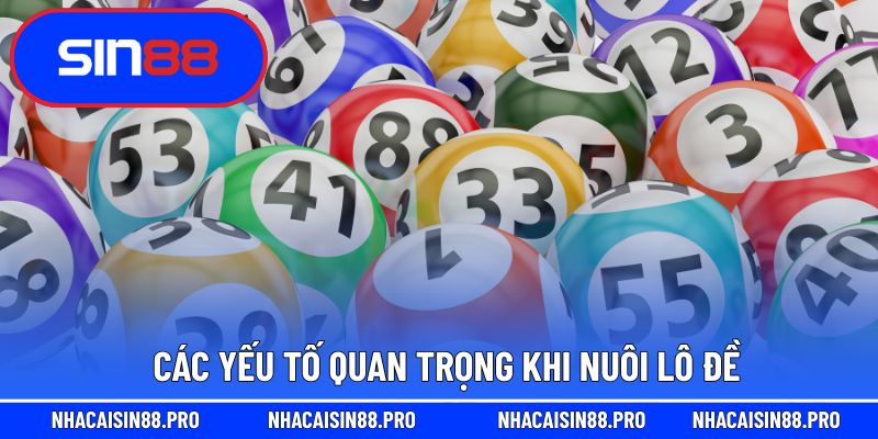 Các yếu tố quan trọng khi nuôi lô đề