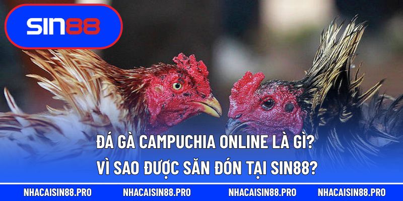 đá gà campuchia trực tiếp