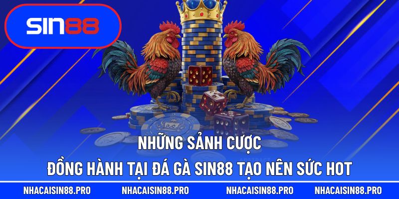 Đá gà tại Sin88 nhờ sự đồng hành của các sảnh cược uy tín