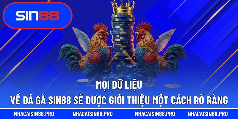 Tất cả thông tin về đá gà Sin88