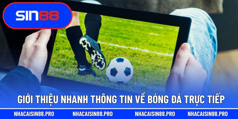 Giới thiệu nhanh thông tin về bóng đá trực tiếp