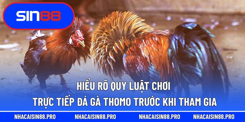 Hiểu rõ quy luật chơi trực tiếp đá gà thomo trước khi tham gia