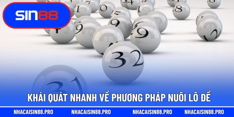 Khái quát nhanh về phương pháp nuôi lô đề