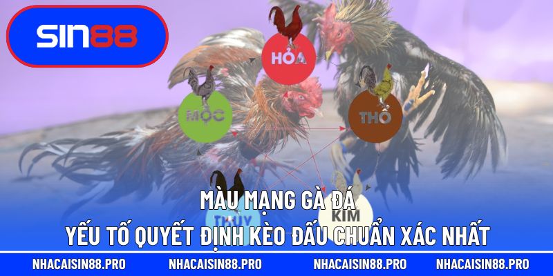 màu mạng gà đá