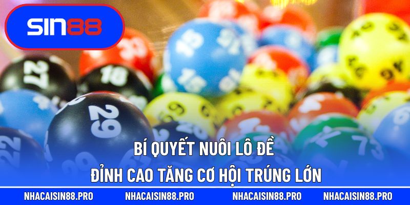 Nuôi lô đề