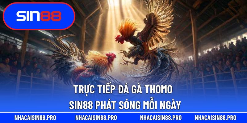 trực tiếp đá gà thomo